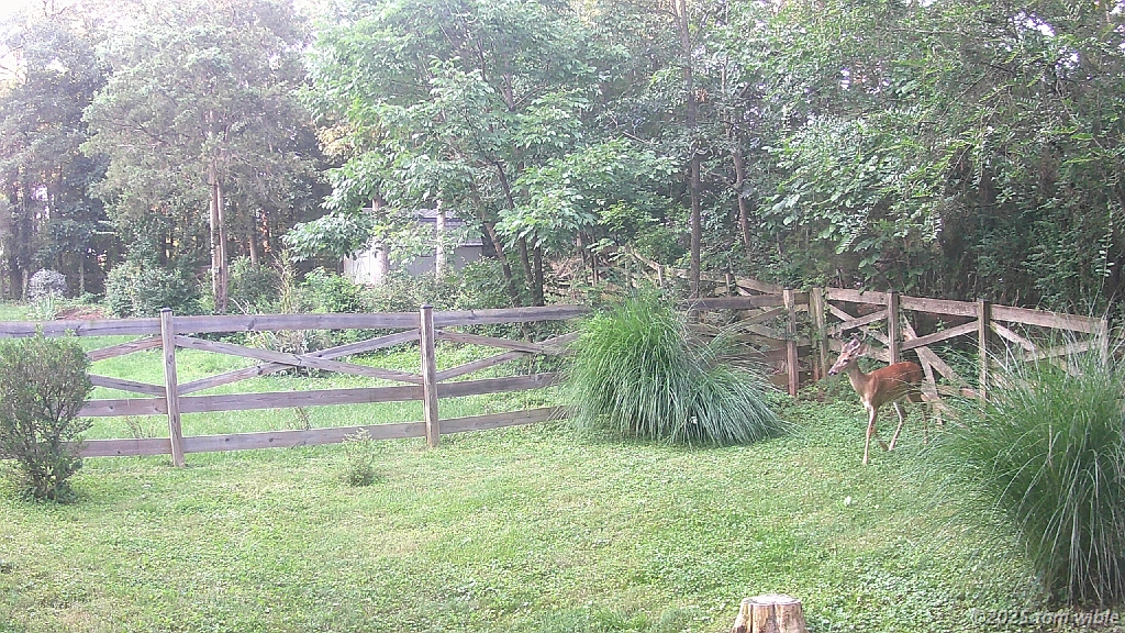 DSCF0060