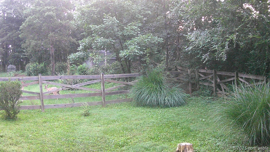 DSCF0096