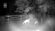 DSCF0009