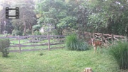 DSCF0061