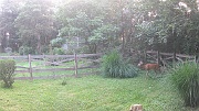 DSCF0070