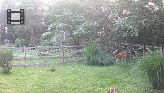 DSCF0071