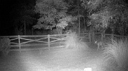 DSCF0072