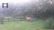 DSCF0075
