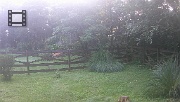 DSCF0081