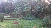 DSCF0082