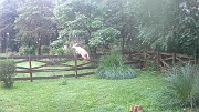 DSCF0102