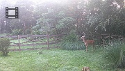 DSCF0107