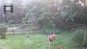 DSCF0109