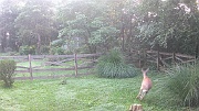 DSCF0116