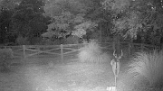DSCF0138