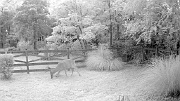 DSCF0146