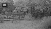 DSCF0151