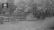 DSCF0155