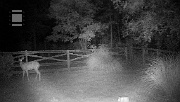 DSCF0169