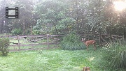 DSCF0187